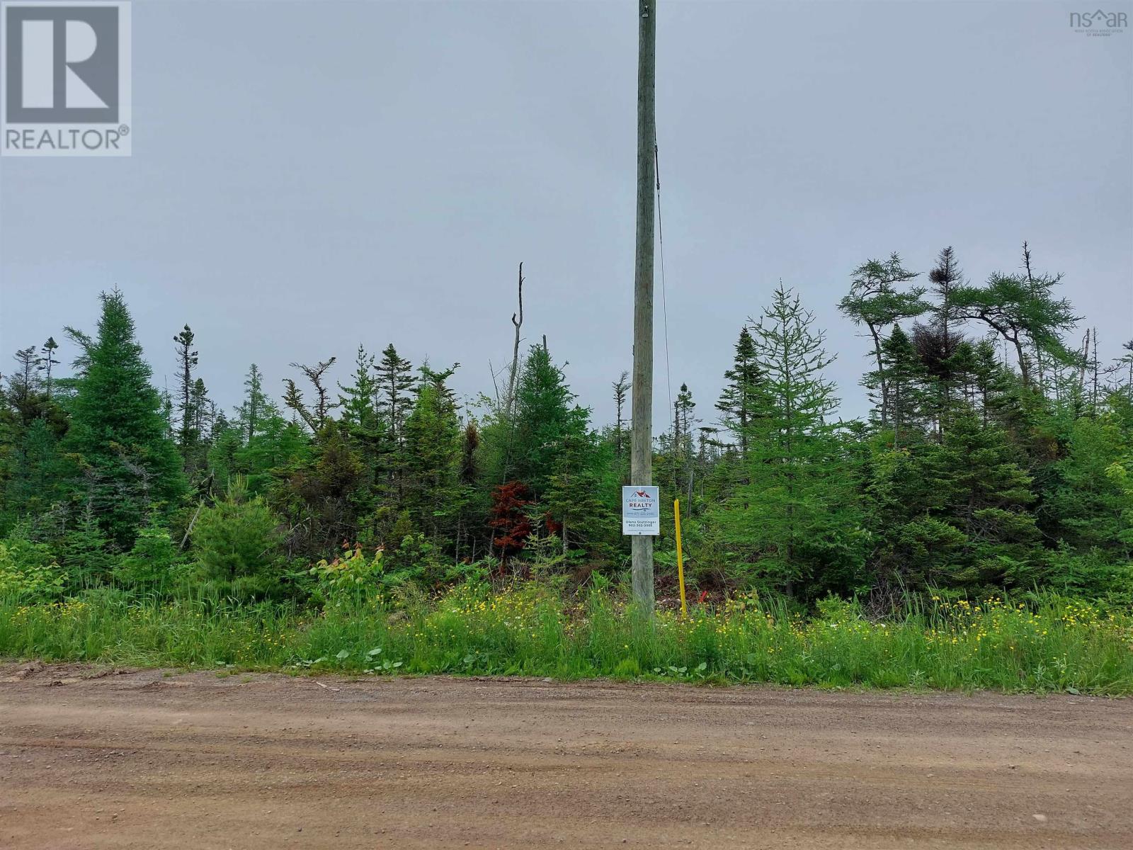 Lot 16 Walkerville Rd., Walkerville, Nova Scotia  B0E 1J0 - Photo 4 - 202519504