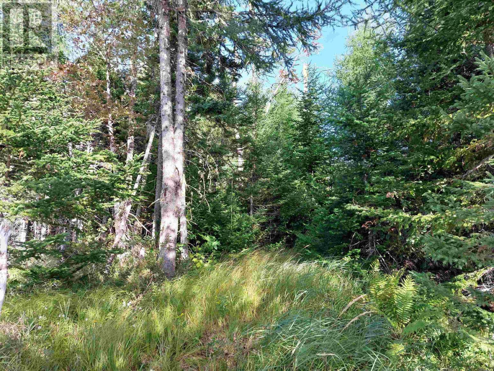 Lot 16 Walkerville Rd., Walkerville, Nova Scotia  B0E 1J0 - Photo 9 - 202519504