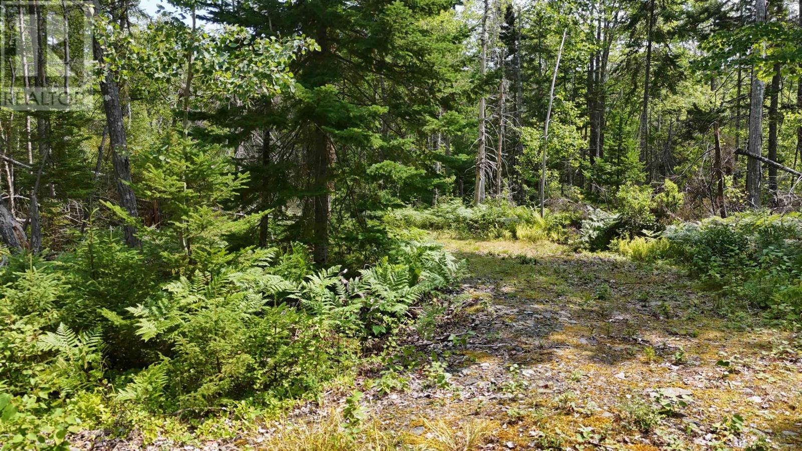 Lot 3 West Bay Highway, The Points West Bay, Nova Scotia  B0E 3K0 - Photo 8 - 202519562