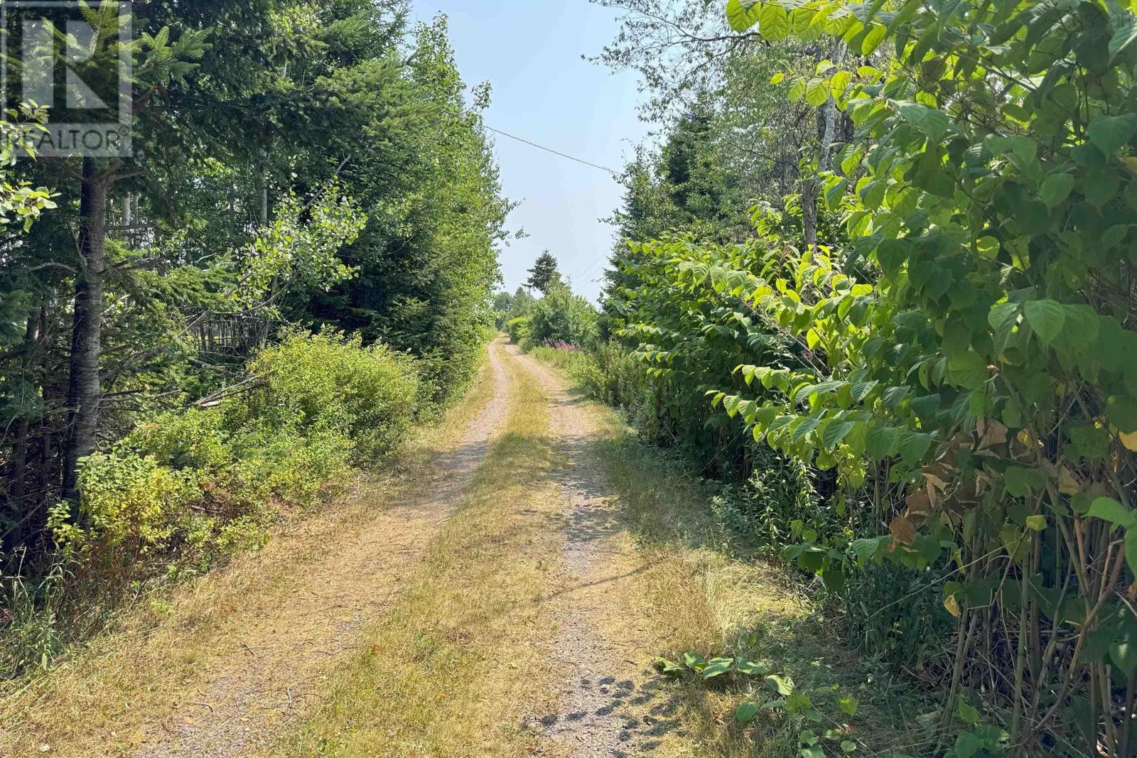 10217 Highway 209, Diligent River, Nova Scotia  B0M 1S0 - Photo 3 - 202519642