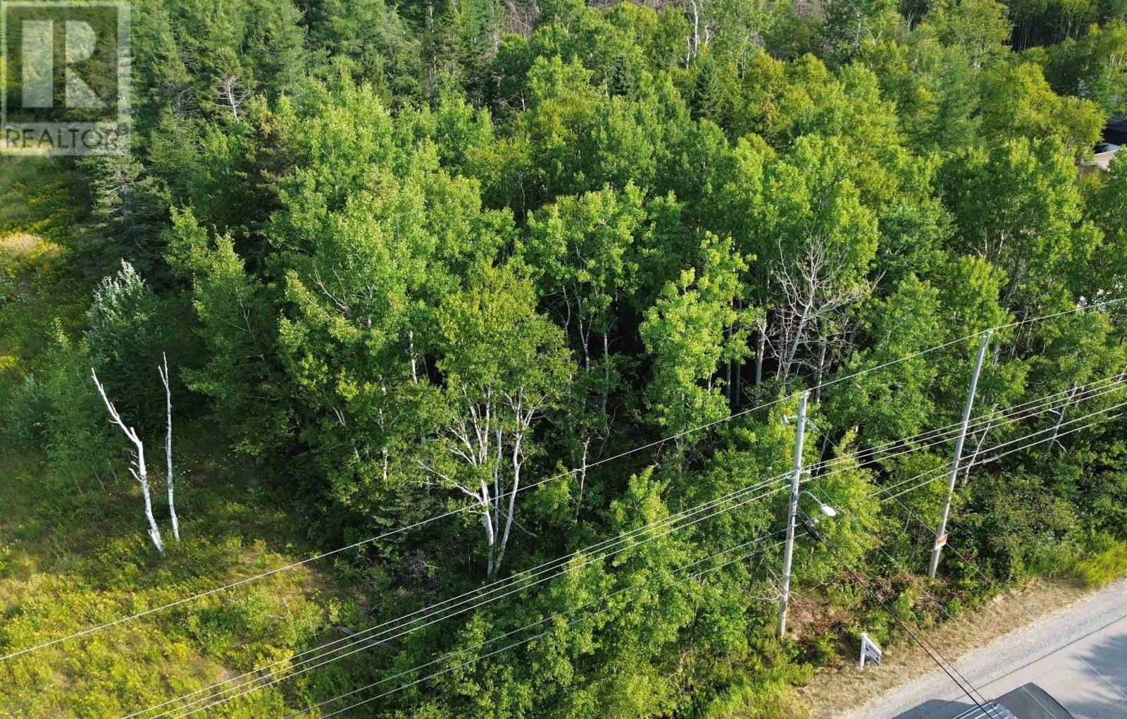 Lot 10 Lingan Road, River Ryan, Nova Scotia  B1H 5S2 - Photo 2 - 202519841