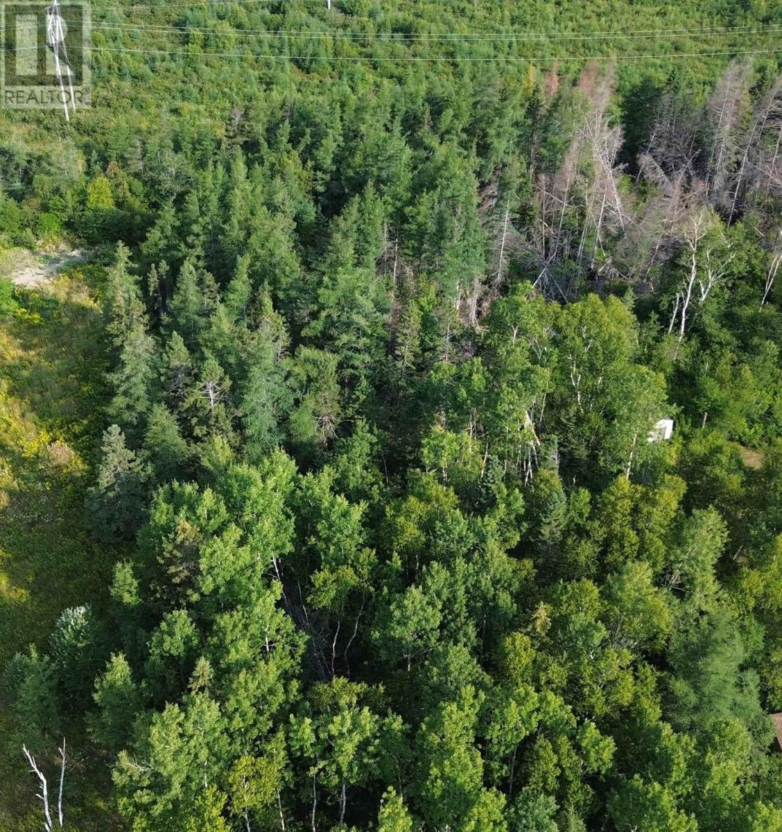Lot 10 Lingan Road, River Ryan, Nova Scotia  B1H 5S2 - Photo 4 - 202519841