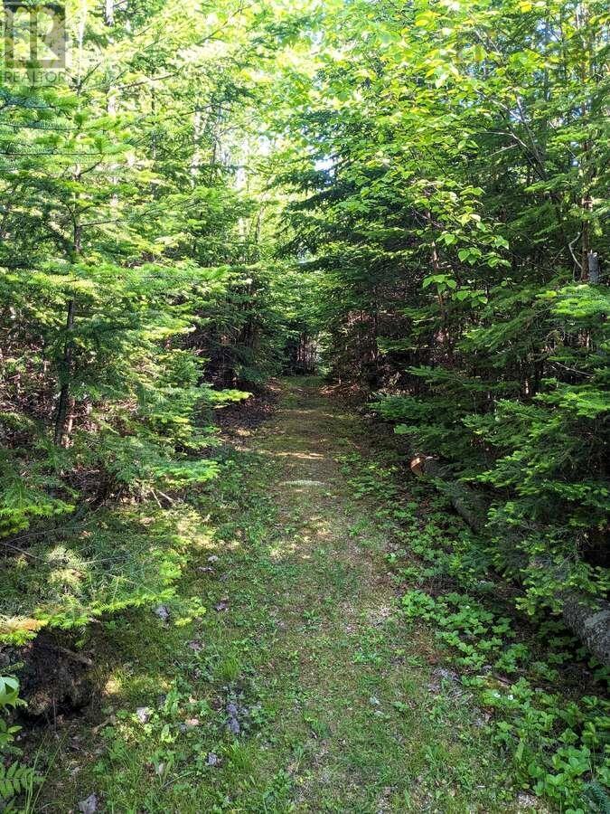 56 Johnny Ben's Lane, Red Point, Nova Scotia  B2C 1G8 - Photo 14 - 202519843