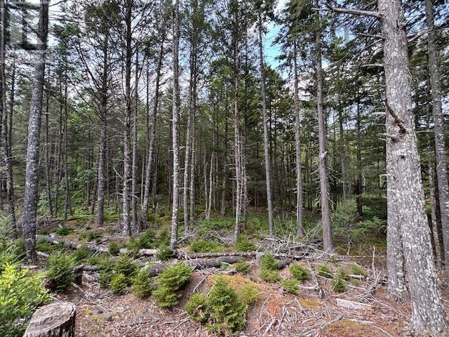 Lot 25 Beaver Dam Trail, Labelle, Nova Scotia  B0T 1E0 - Photo 17 - 202519898