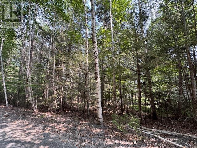 Lot 25 Beaver Dam Trail, Labelle, Nova Scotia  B0T 1E0 - Photo 9 - 202519898