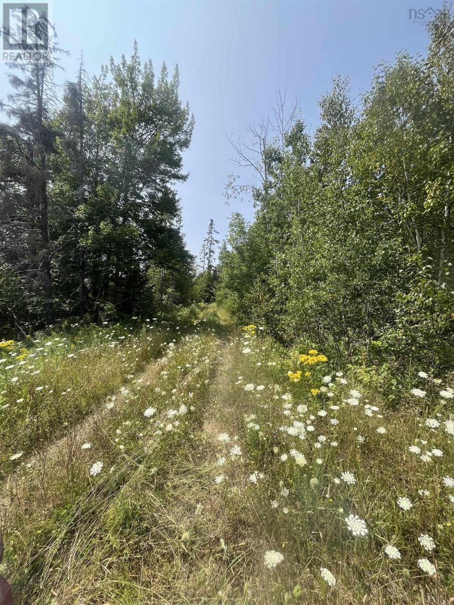 Lot 16 West Bay Highway, Roberta, Nova Scotia  B0E 3K0 - Photo 7 - 202519958