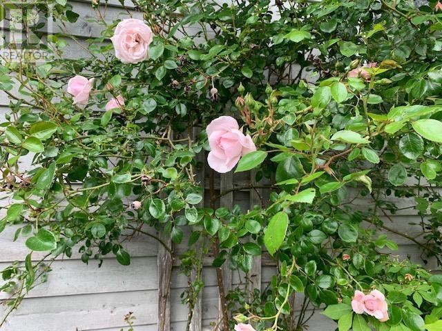 45 Southwest Cove Road, Northwest Cove, Nova Scotia  B0J 1T0 - Photo 39 - 202519981