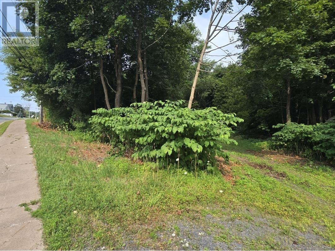 23 Munroe Avenue, New Glasgow, Nova Scotia  B2H 2C8 - Photo 1 - 202520021