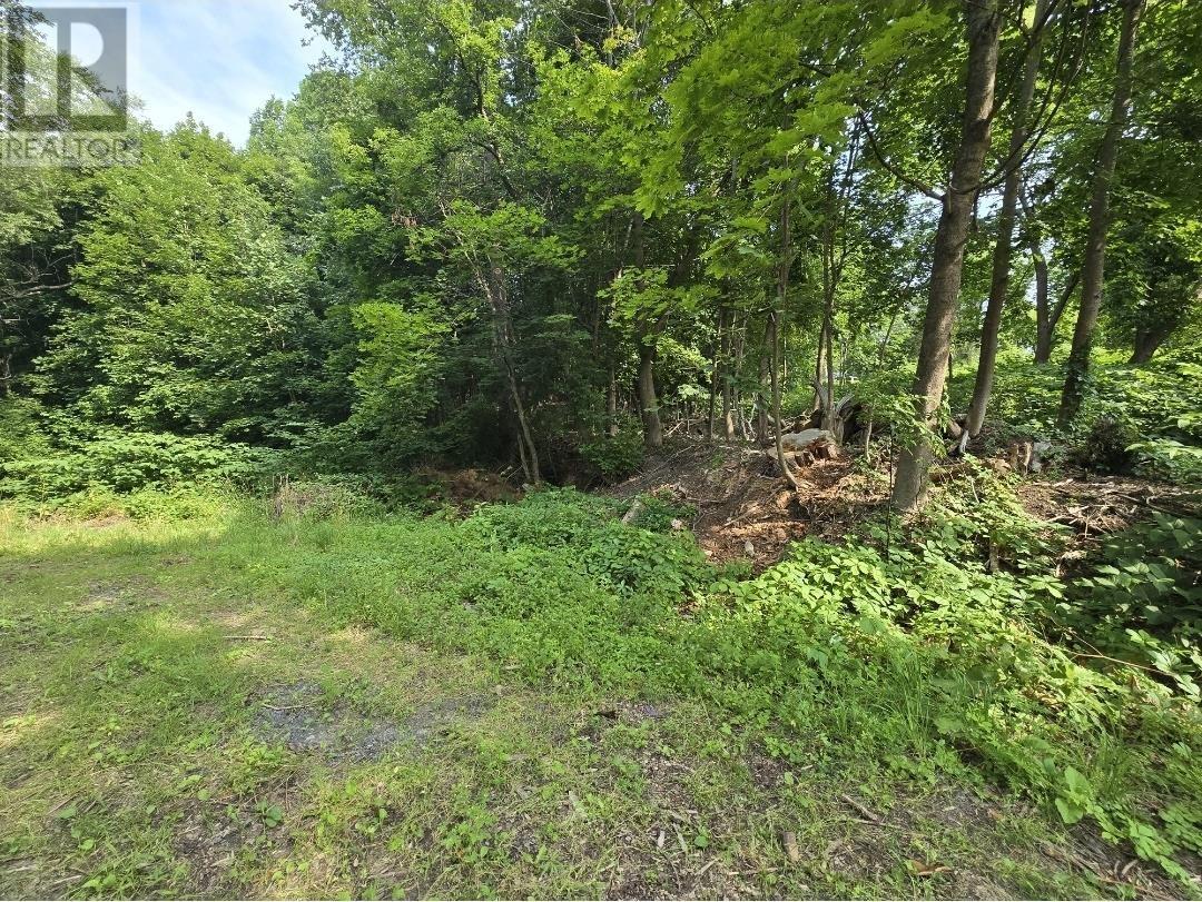 23 Munroe Avenue, New Glasgow, Nova Scotia  B2H 2C8 - Photo 3 - 202520021