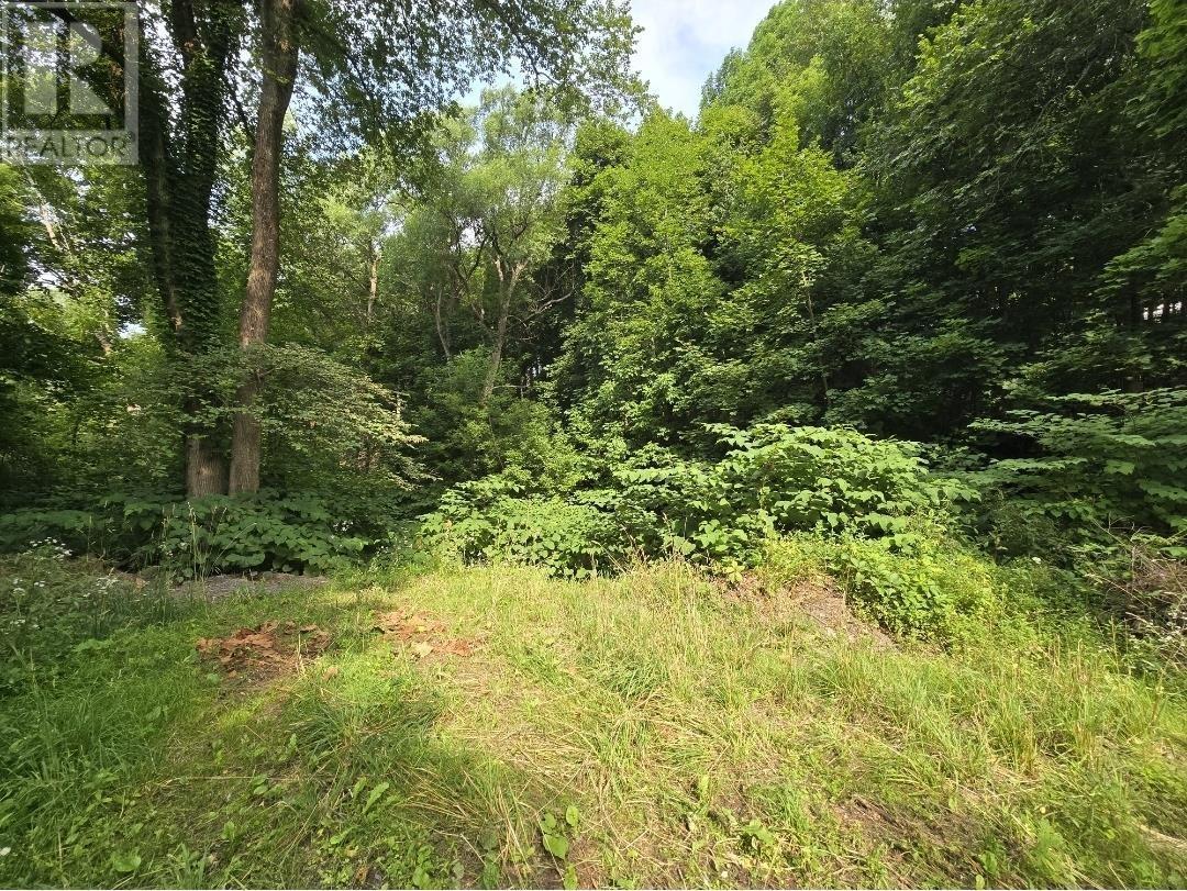 23 Munroe Avenue, New Glasgow, Nova Scotia  B2H 2C8 - Photo 4 - 202520021