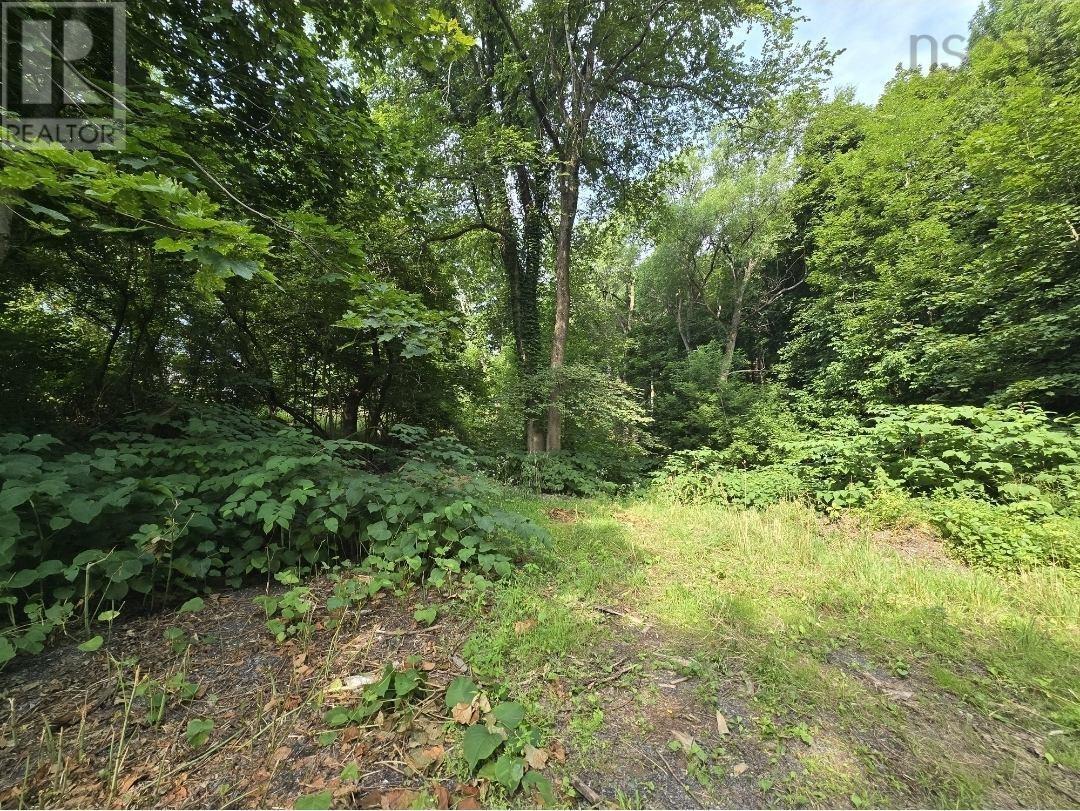 Lot Munroe Avenue, New Glasgow, Nova Scotia  B2H 2C8 - Photo 2 - 202520022