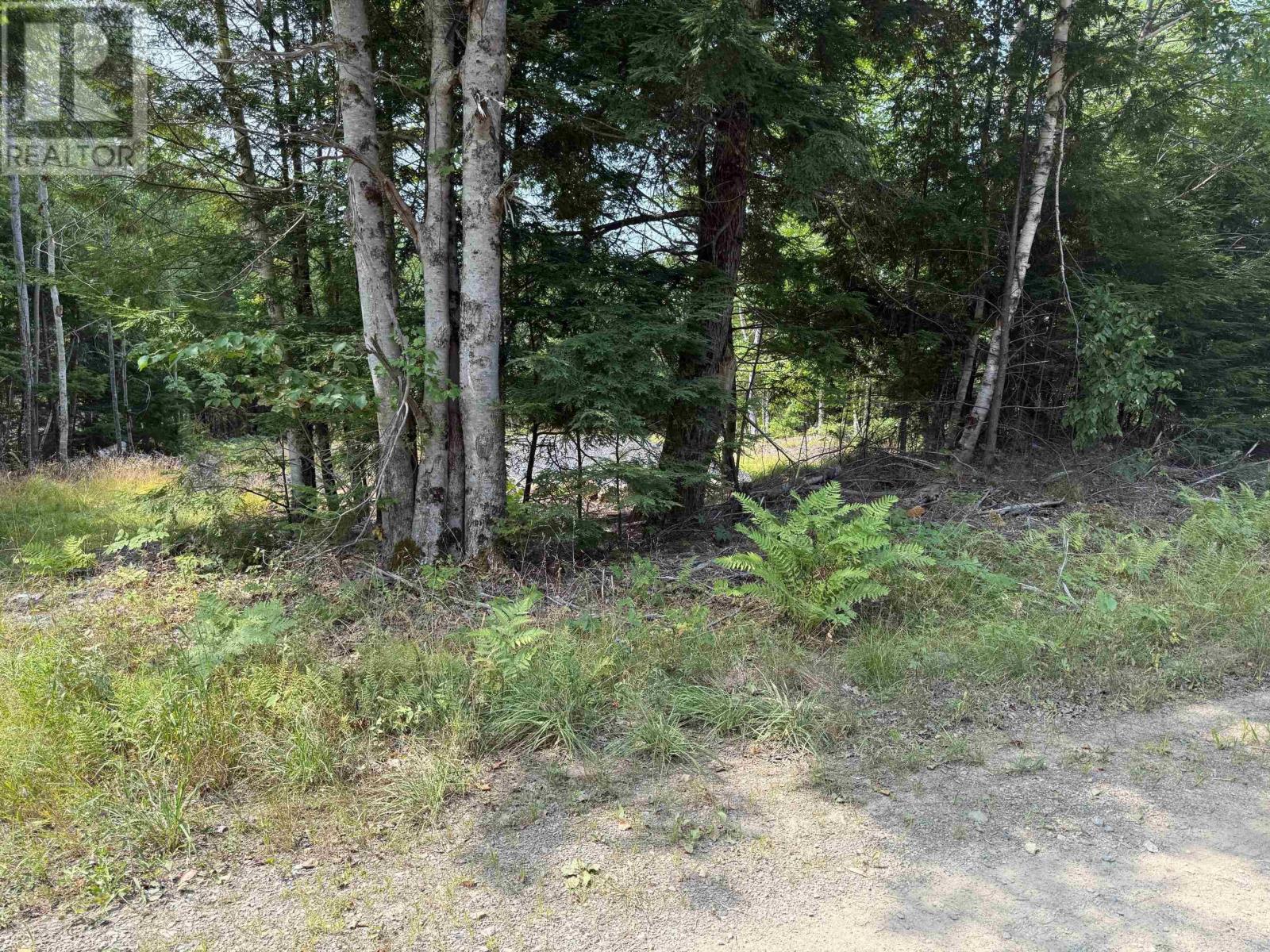 Lot PID#60724341 Dauphinee Road, cookville, Nova Scotia