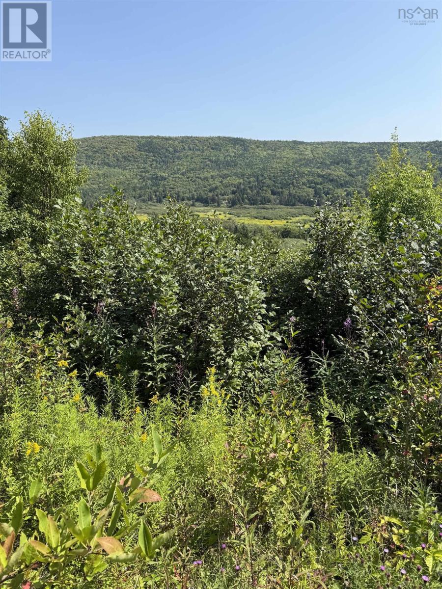 Benacadie West Road, Benacadie West, Nova Scotia  B1T 1H2 - Photo 18 - 202520162