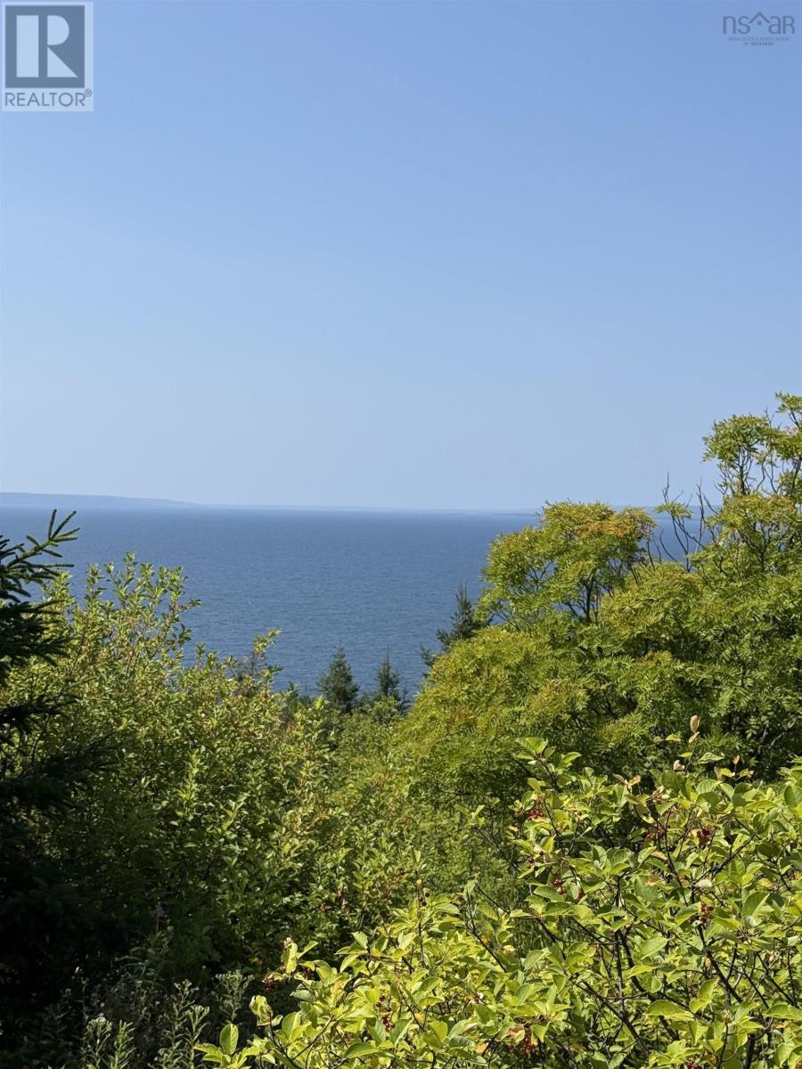 Benacadie West Road, Benacadie West, Nova Scotia  B1T 1H2 - Photo 19 - 202520162