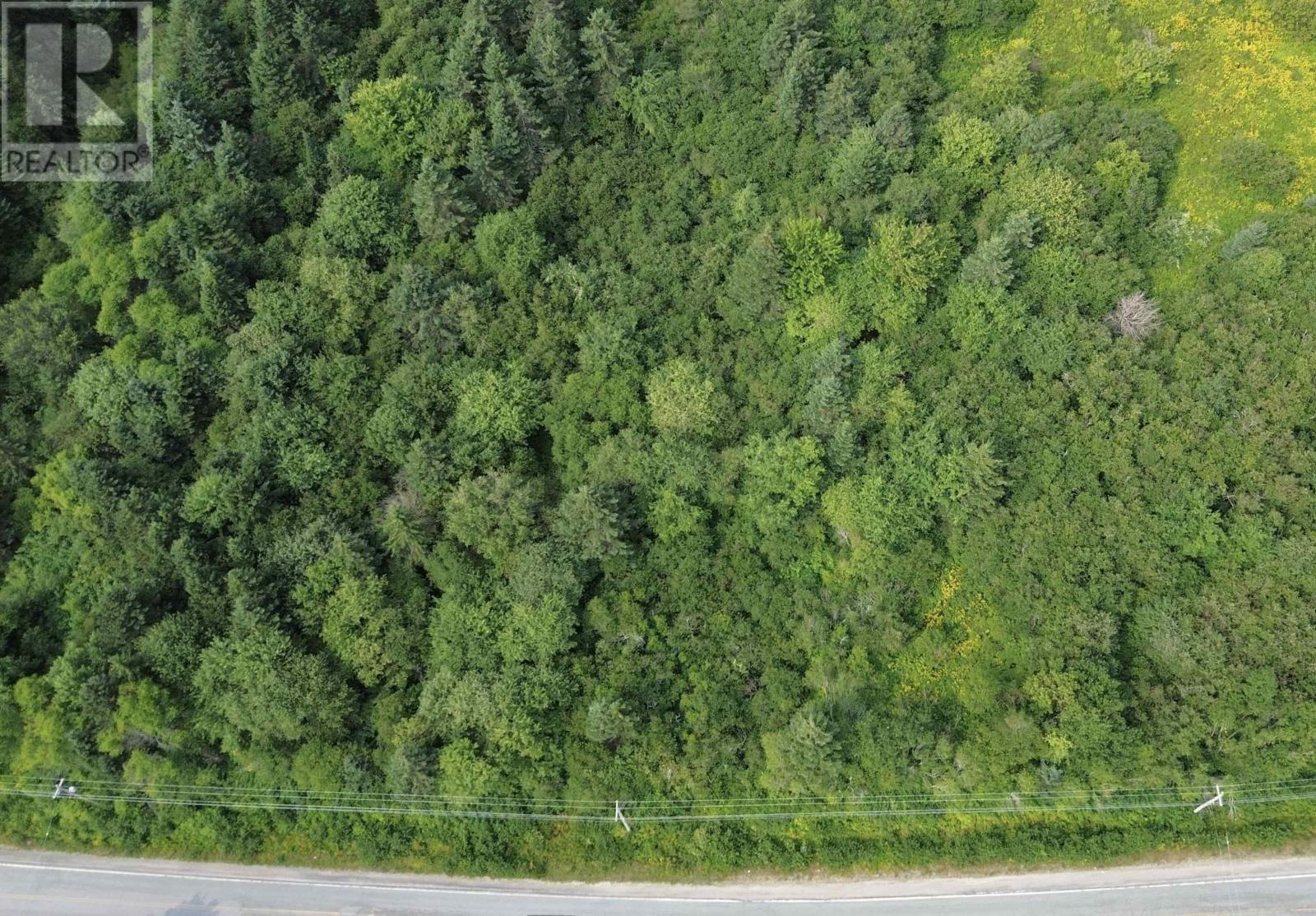 Benacadie West Road, Benacadie West, Nova Scotia  B1T 1H2 - Photo 4 - 202520162