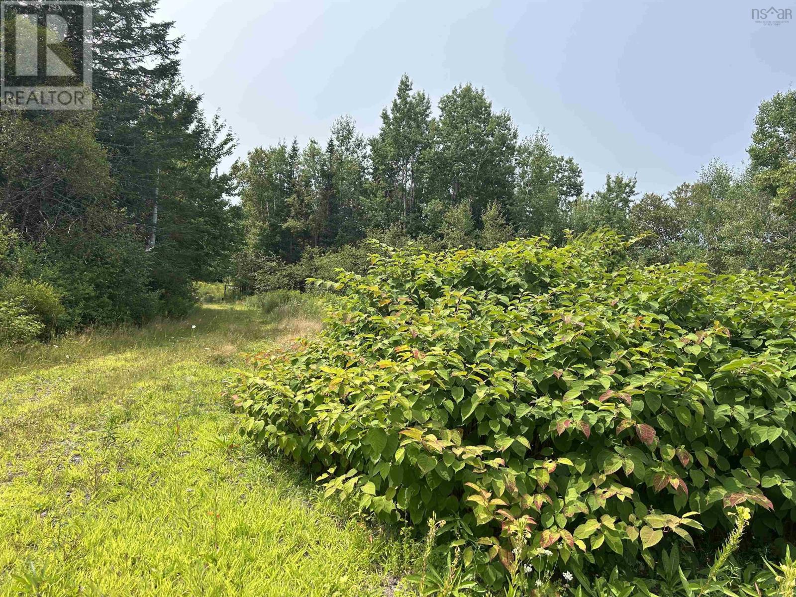 17 Hendsbee Road, Eight Island Lake, Nova Scotia  B0H 1M0 - Photo 5 - 202520163