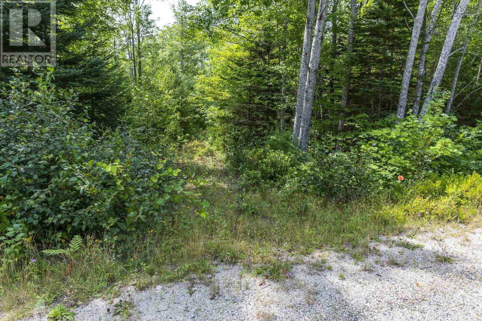 Lot 2-23 Highway 331, Mill Village, Nova Scotia  B0J 2H0 - Photo 1 - 202520214