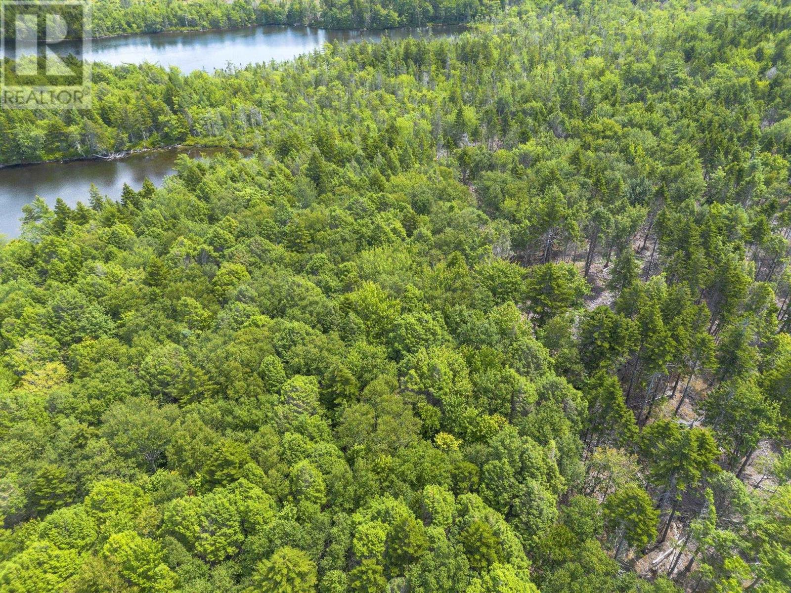 Lot 1 Bull Lake Road, Margo, Nova Scotia  B0W 1M0 - Photo 28 - 202520312