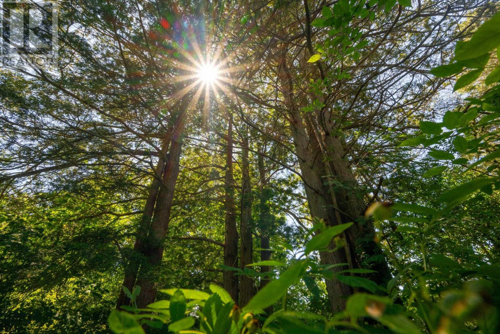 609 Shore Drive, Bedford, Nova Scotia  B4A 2E2 - Photo 16 - 202520360