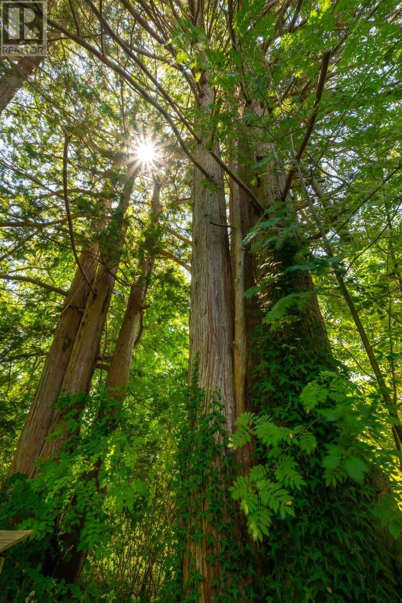 609 Shore Drive, Bedford, Nova Scotia  B4A 2E2 - Photo 17 - 202520360