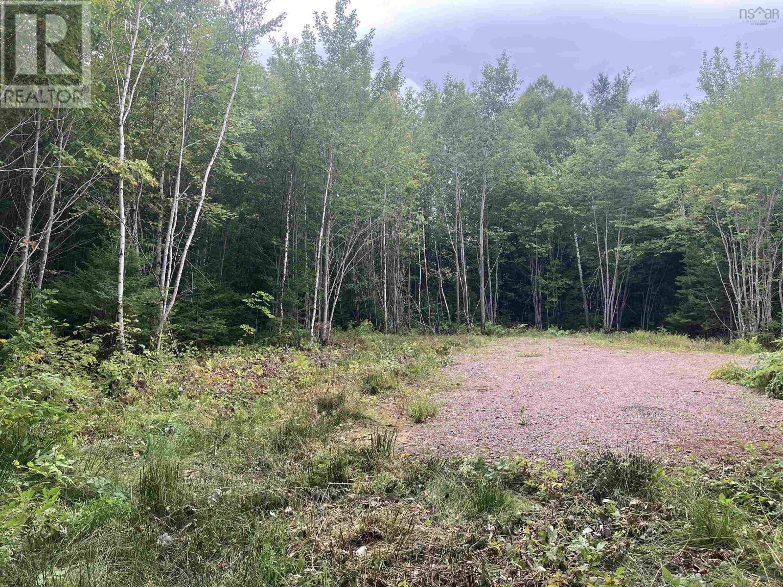 Lot 2020-5 Highway 223, Little Narrows, Nova Scotia  B0E 1T0 - Photo 3 - 202520357
