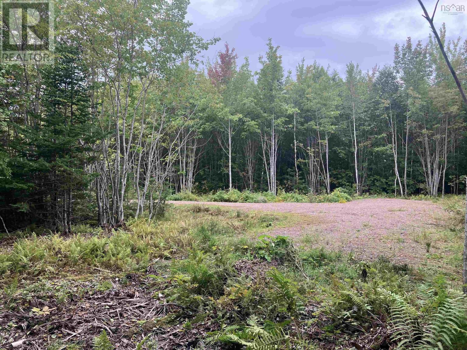 Lot 2020-5 Highway 223, Little Narrows, Nova Scotia  B0E 1T0 - Photo 4 - 202520357