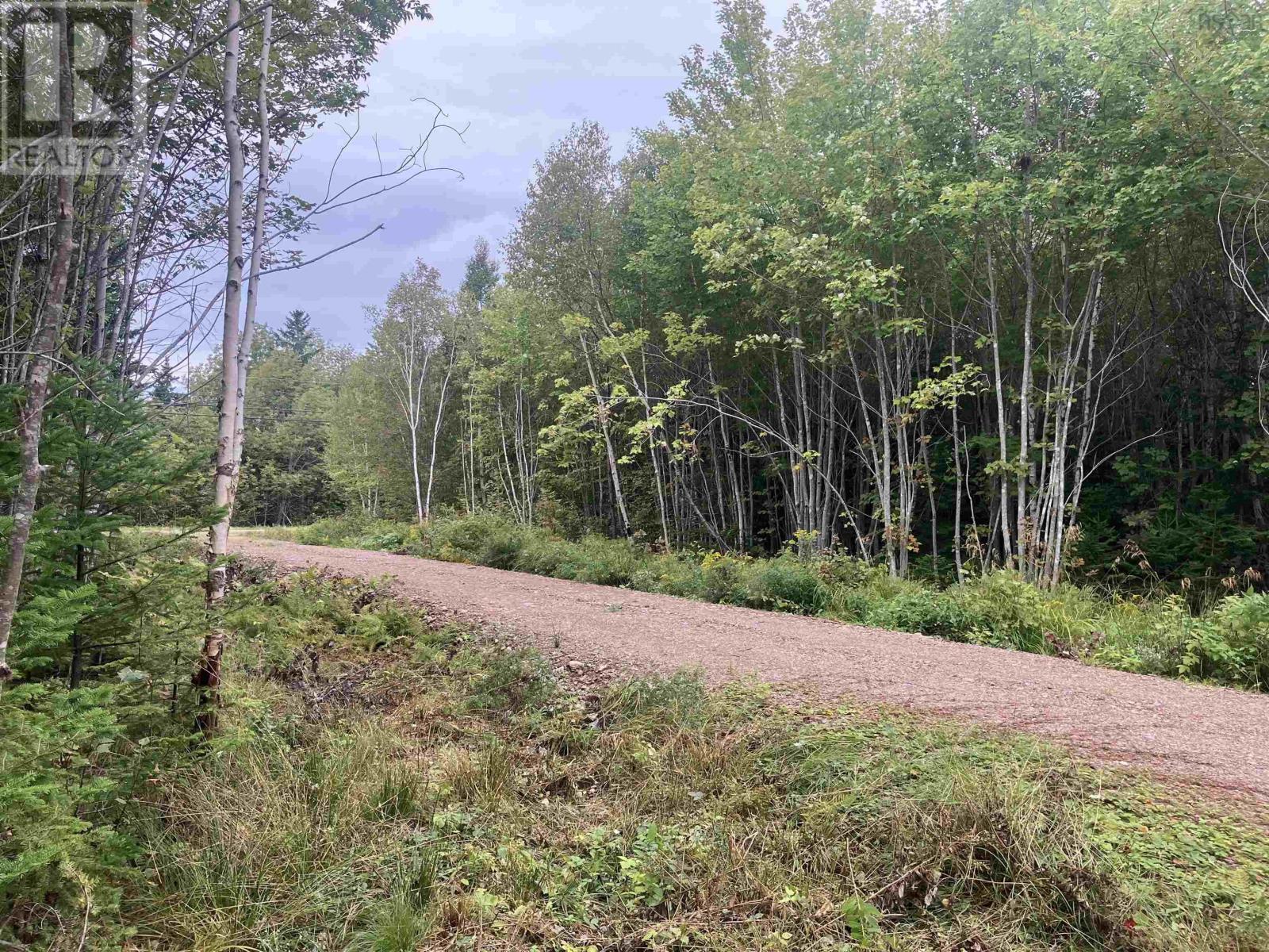 Lot 2020-5 Highway 223, Little Narrows, Nova Scotia  B0E 1T0 - Photo 6 - 202520357