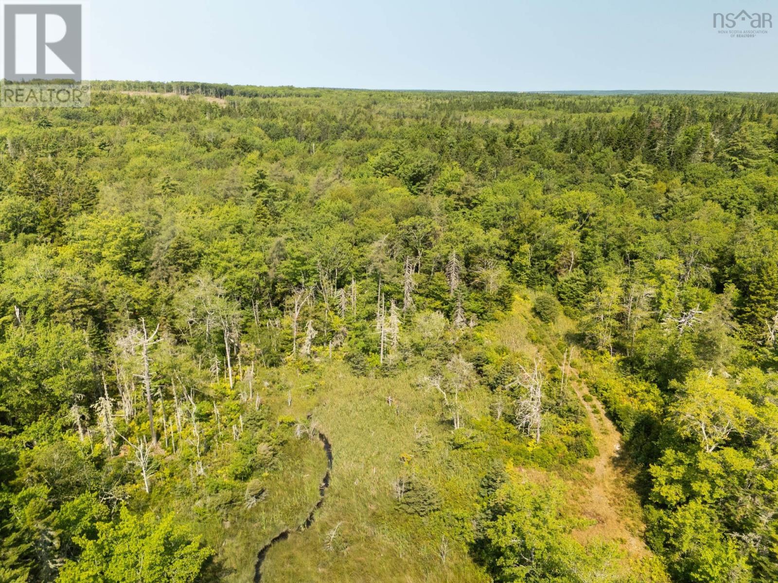 Lot Raynardton Road, Tusket Falls, Nova Scotia  B0W 3M0 - Photo 8 - 202520407