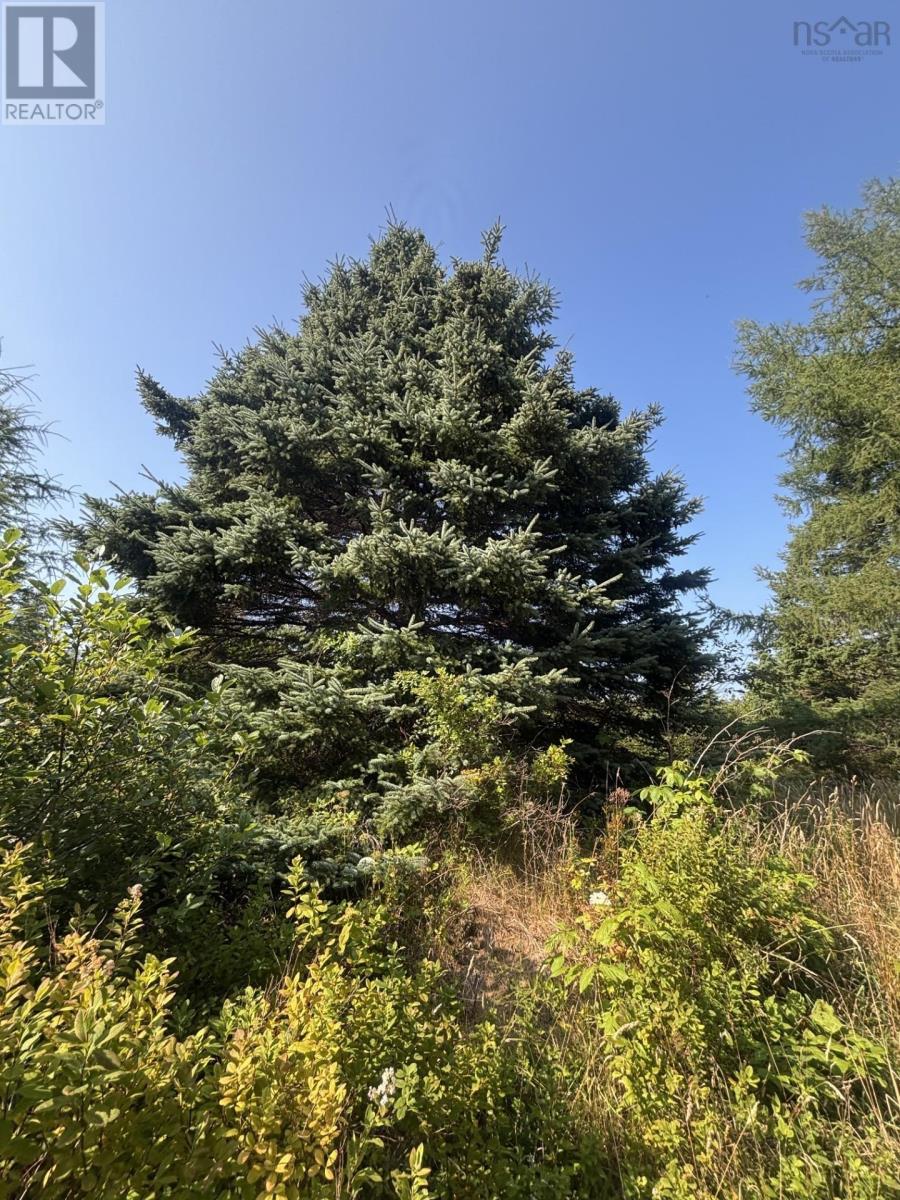 52 New Zealand Road, Cherry Hill, Nova Scotia  B0J 2H0 - Photo 11 - 202520424