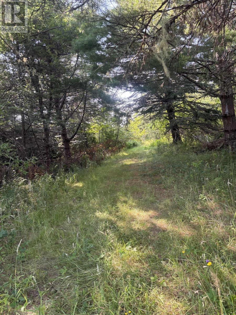 52 New Zealand Road, Cherry Hill, Nova Scotia  B0J 2H0 - Photo 13 - 202520424