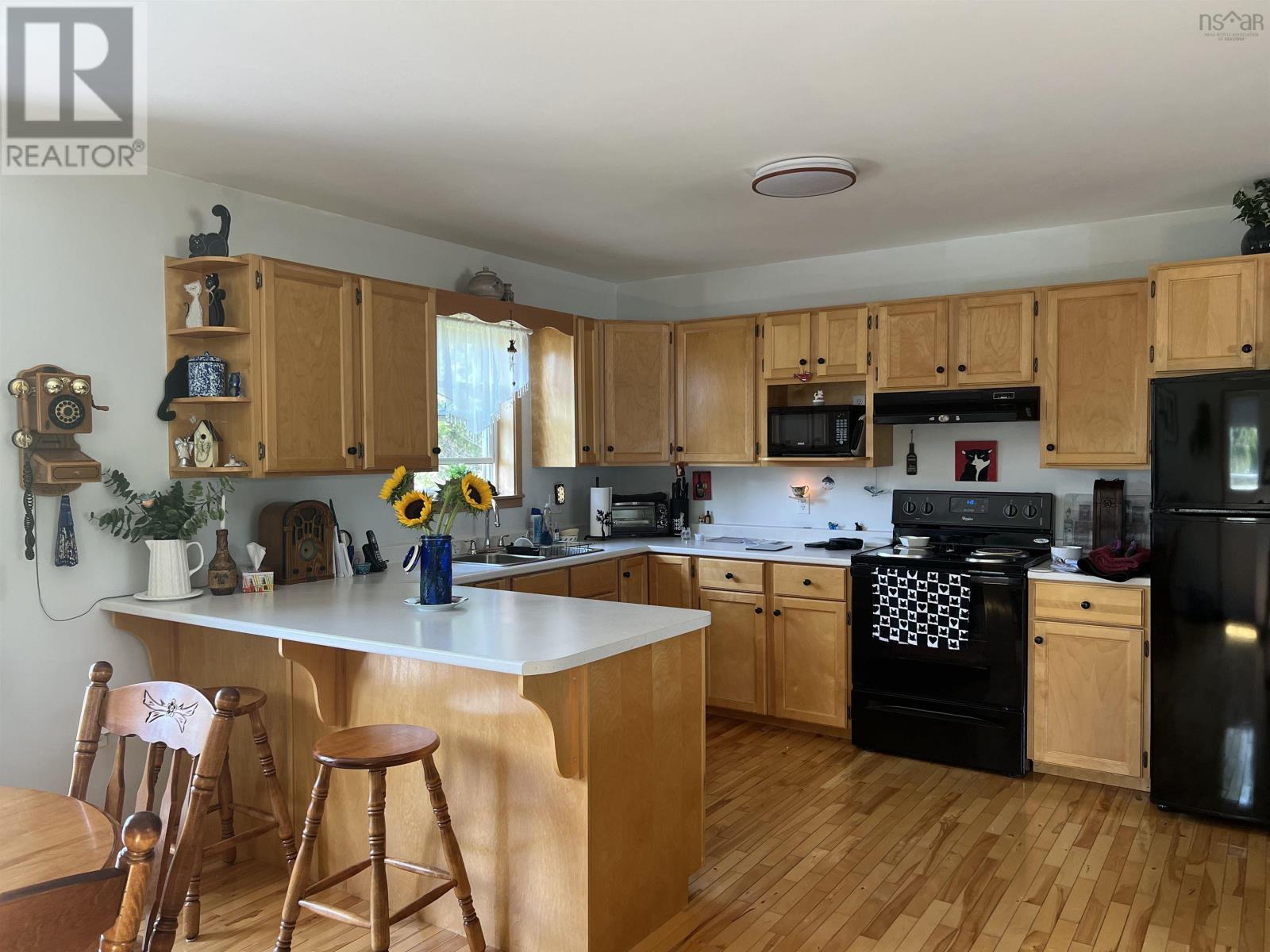 46 Mary Etta Drive, Upper North River, Nova Scotia  B6L 6L6 - Photo 3 - 202520426