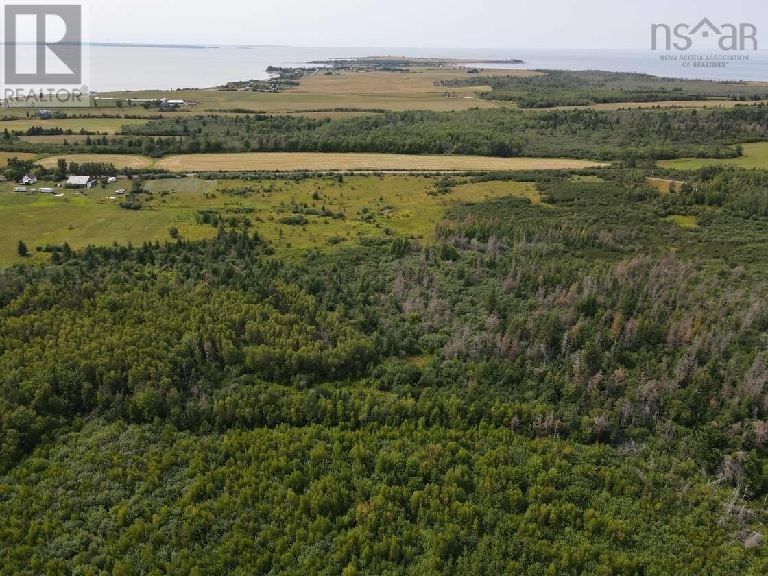 124 New Road, Cape John, Nova Scotia  B0K 1N0 - Photo 4 - 202520606