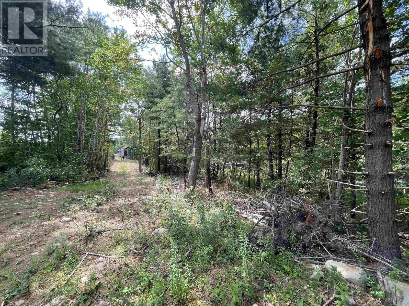 55 Zwicker Mill Road, New Germany, Nova Scotia  B0R 1E0 - Photo 15 - 202520626