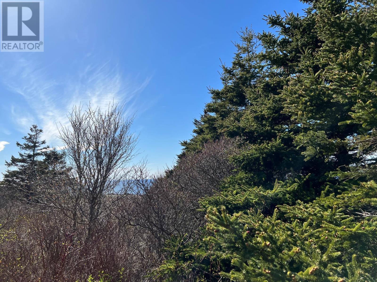 11838 Cabot Trail, Cap Le Moine, Nova Scotia  B0E 3A0 - Photo 5 - 202520632