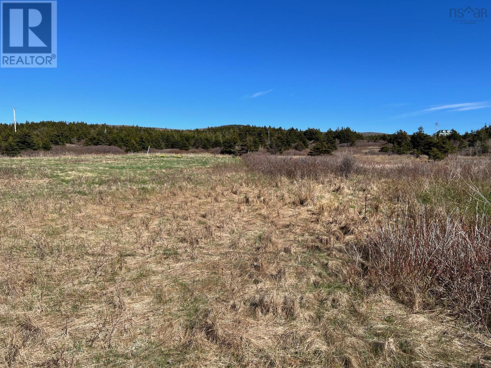 11838 Cabot Trail, Cap Le Moine, Nova Scotia  B0E 3A0 - Photo 7 - 202520632