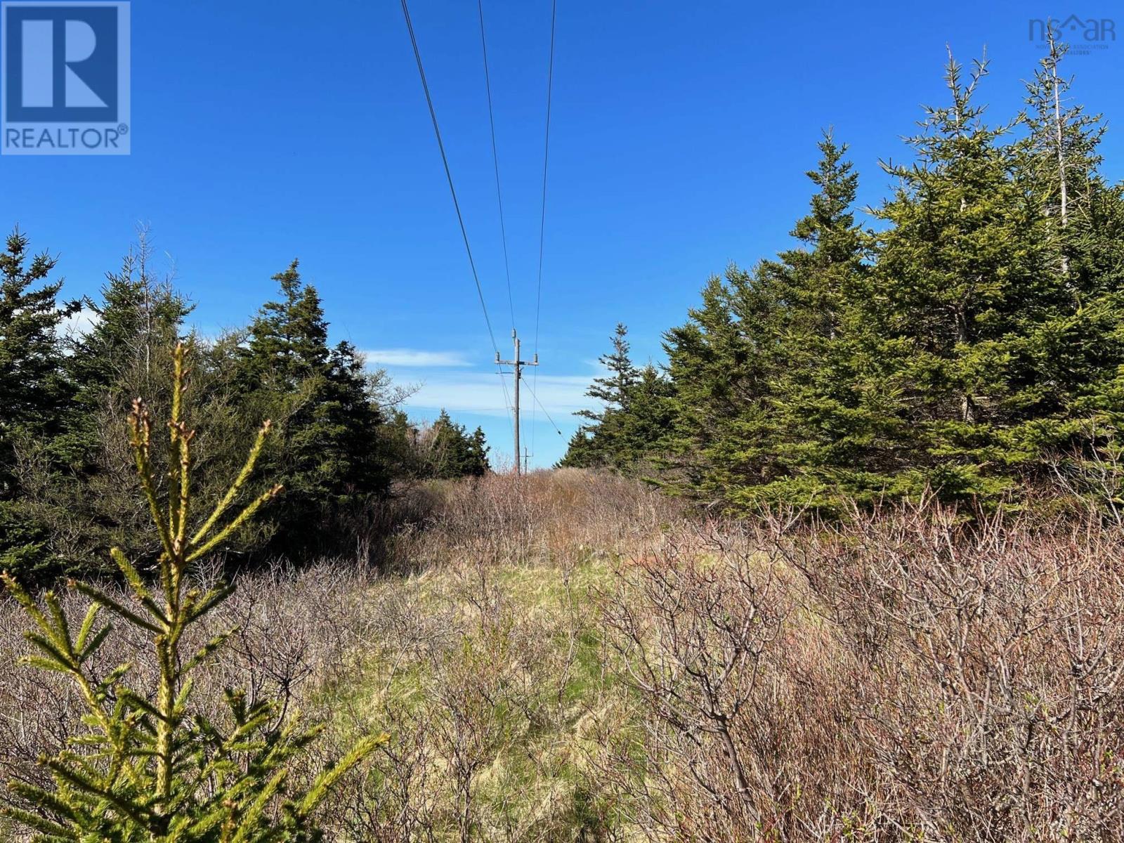 11838 Cabot Trail, Cap Le Moine, Nova Scotia  B0E 3A0 - Photo 8 - 202520632