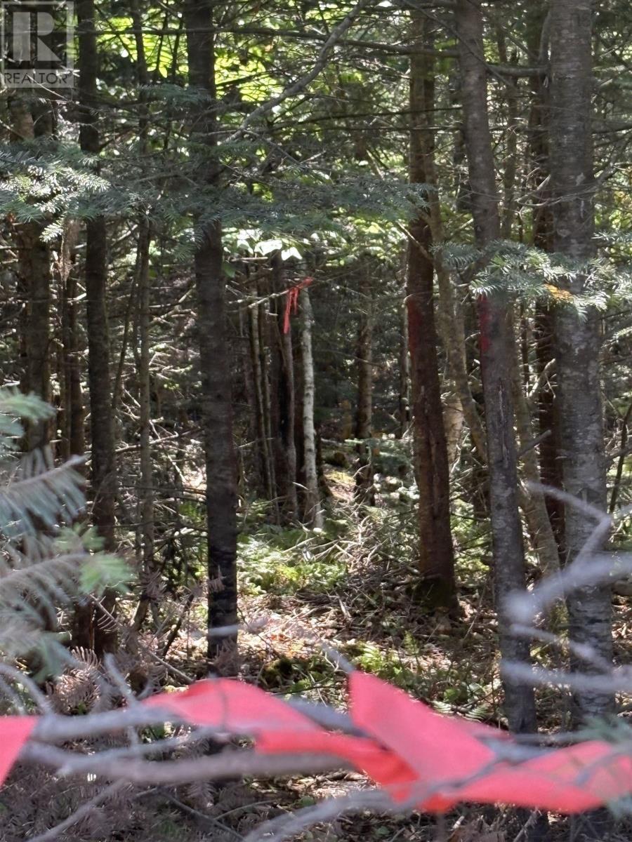 Lot 03-1 West Bay Road, West Bay, Nova Scotia  B0M 1S0 - Photo 4 - 202520692