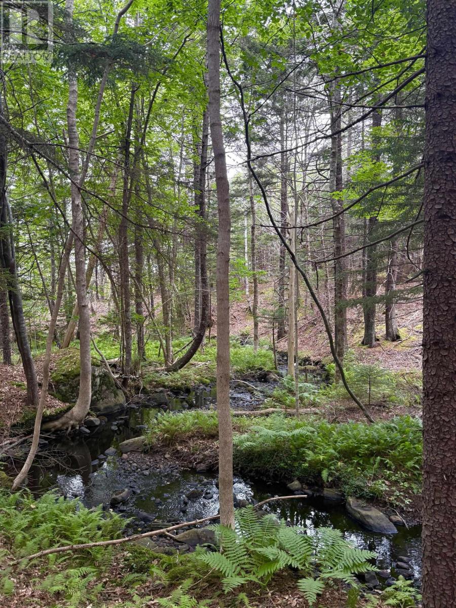 415 Sissiboo Road, Weymouth, Nova Scotia  B0W 3T0 - Photo 18 - 202520742