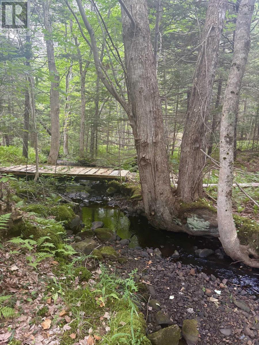 415 Sissiboo Road, Weymouth, Nova Scotia  B0W 3T0 - Photo 23 - 202520742