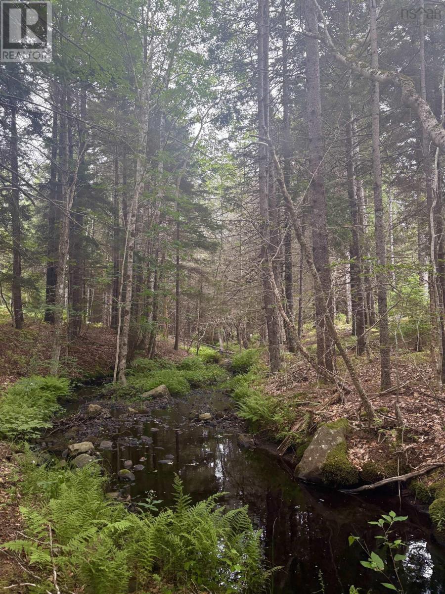 415 Sissiboo Road, Weymouth, Nova Scotia  B0W 3T0 - Photo 29 - 202520742