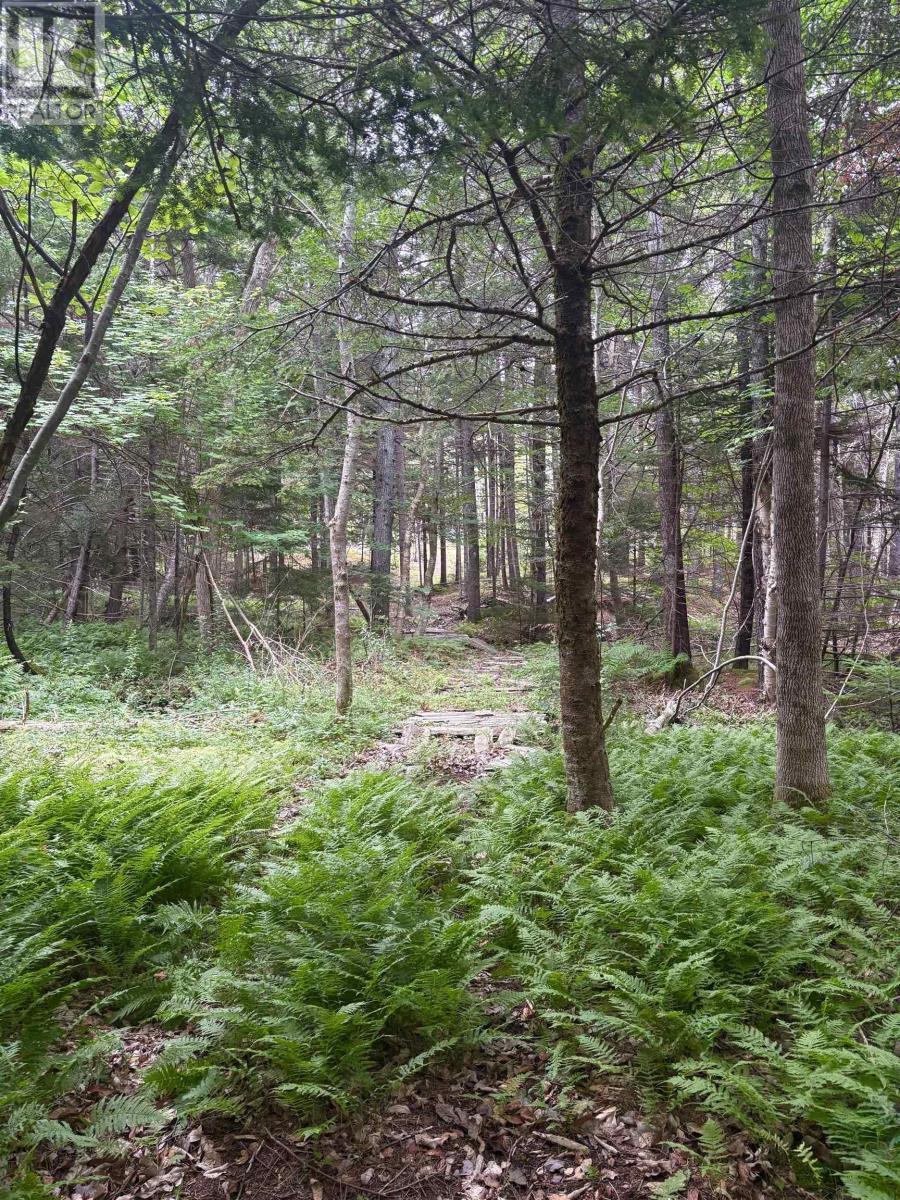 415 Sissiboo Road, Weymouth, Nova Scotia  B0W 3T0 - Photo 32 - 202520742