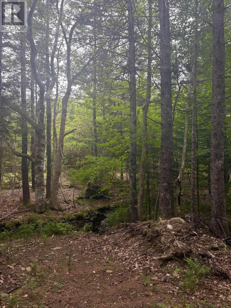 415 Sissiboo Road, Weymouth, Nova Scotia  B0W 3T0 - Photo 33 - 202520742