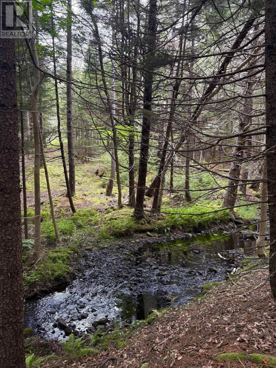 415 Sissiboo Road, Weymouth, Nova Scotia  B0W 3T0 - Photo 6 - 202520742