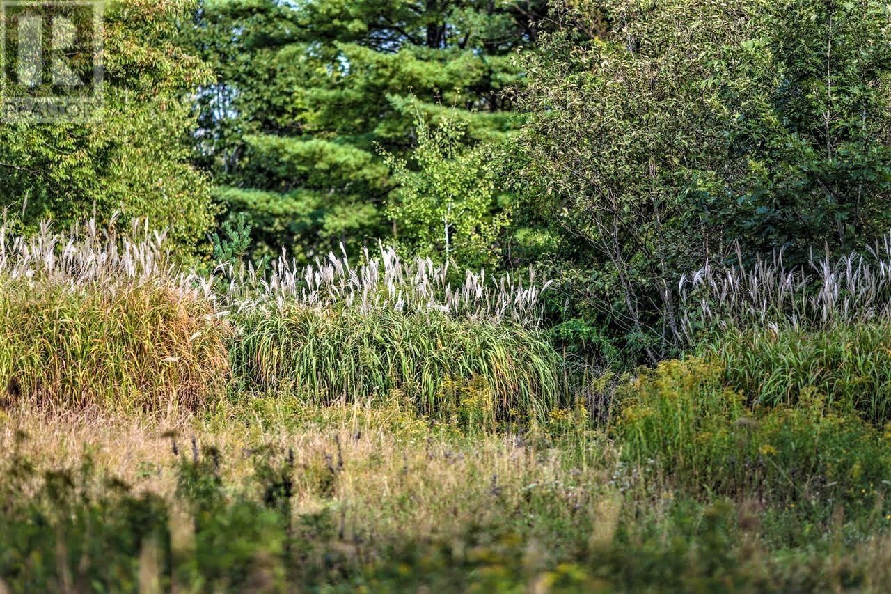 Lot 21-1 & -2 Wye Street, Mahone Bay, Nova Scotia  B0J 2E0 - Photo 10 - 202520754