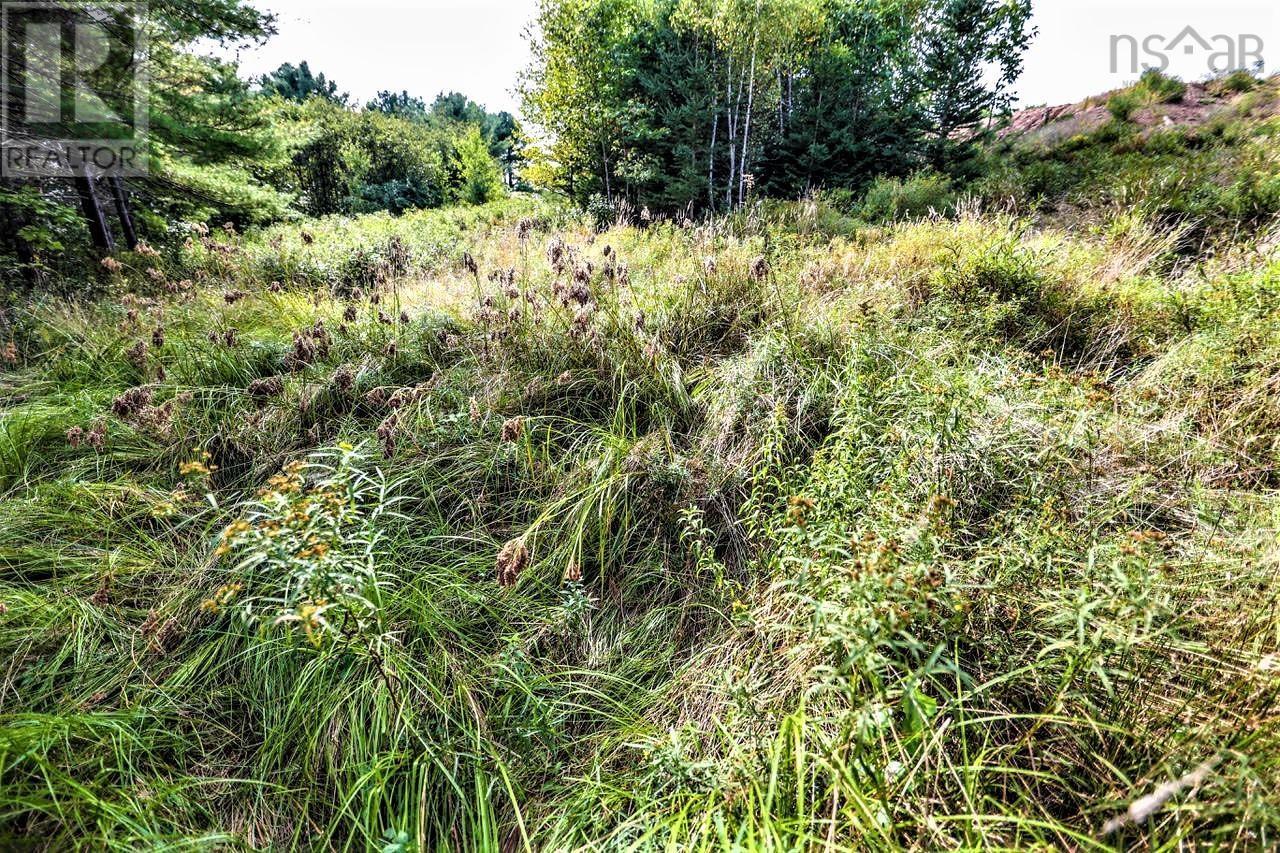 Lot 21-1 & -2 Wye Street, Mahone Bay, Nova Scotia  B0J 2E0 - Photo 11 - 202520754