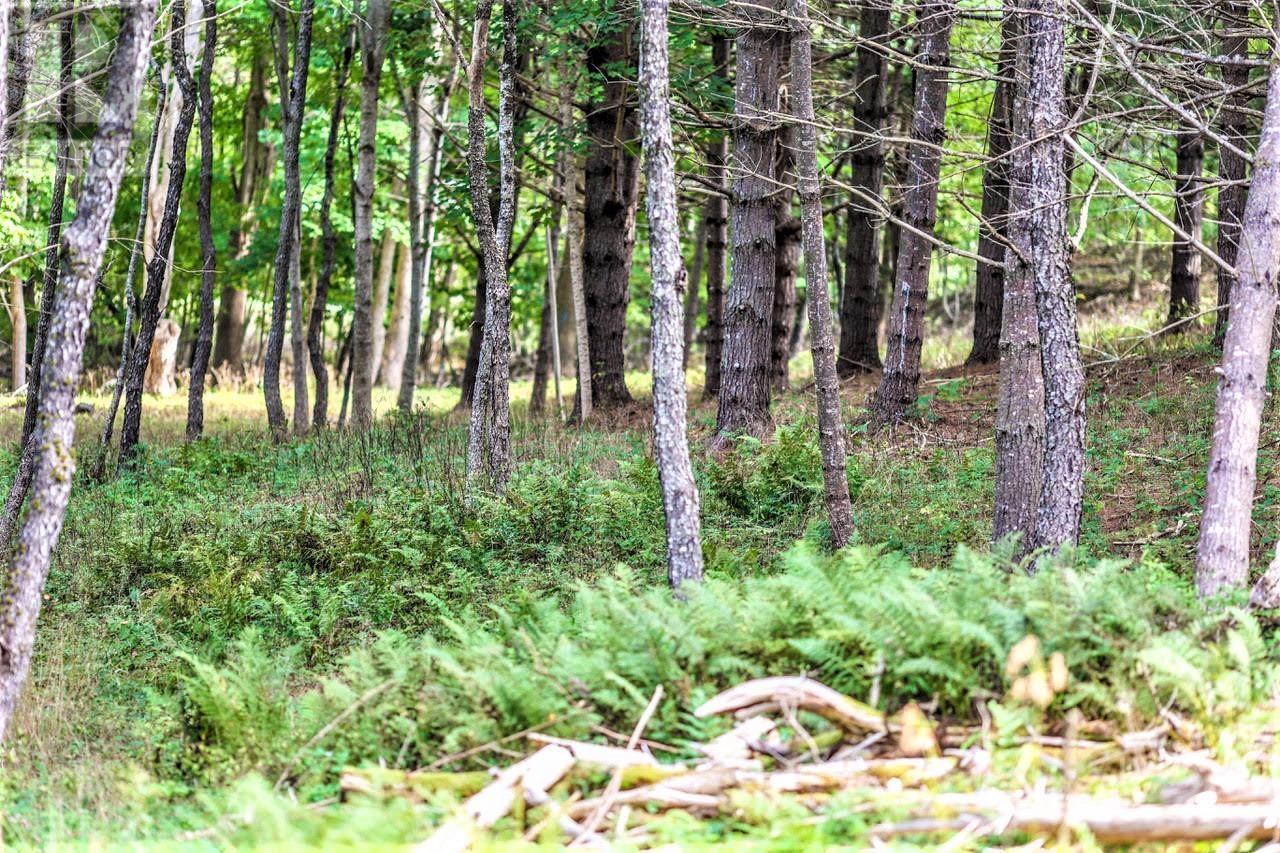 Lot 21-1 & -2 Wye Street, Mahone Bay, Nova Scotia  B0J 2E0 - Photo 13 - 202520754