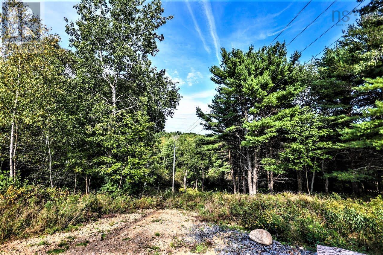 Lot 21-1 & -2 Wye Street, Mahone Bay, Nova Scotia  B0J 2E0 - Photo 16 - 202520754