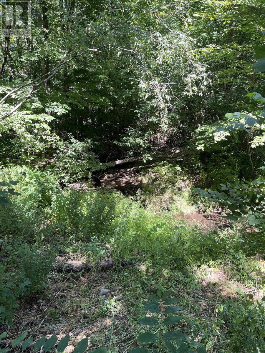 Lot C Ward Road, South Greenwood, Nova Scotia  B0P 1N0 - Photo 3 - 202520761