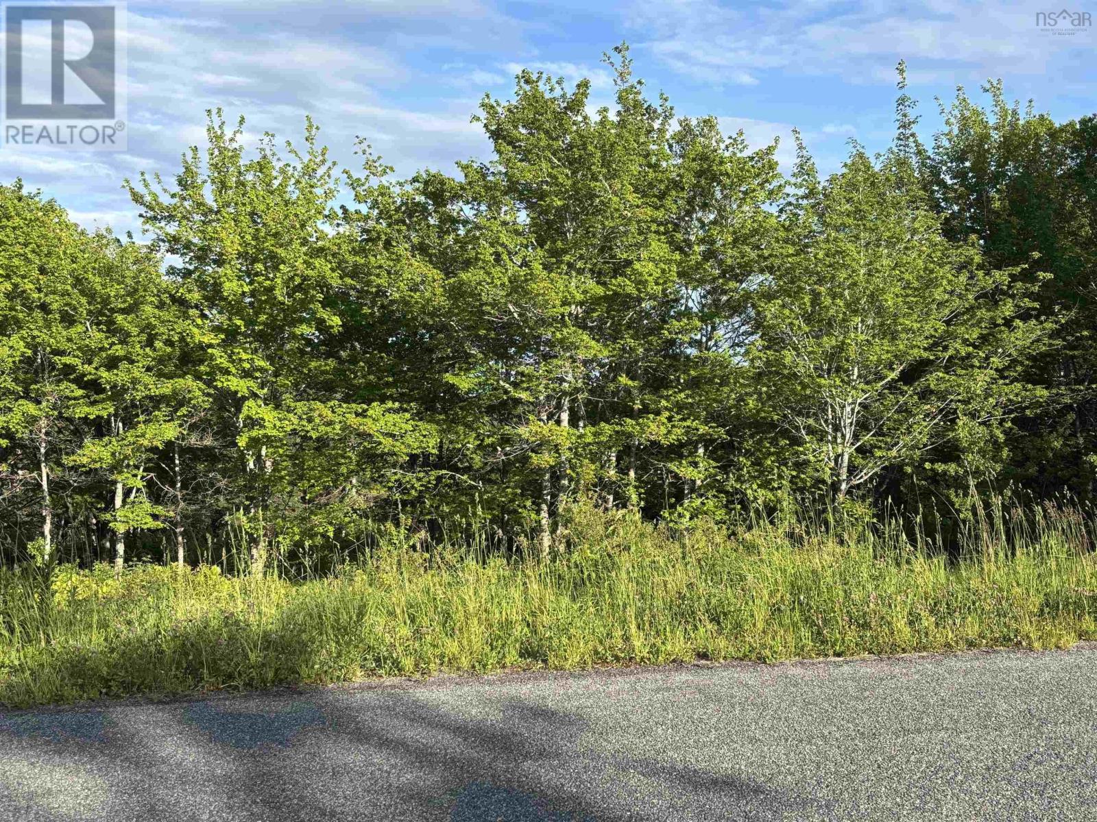 31 Parkland Place, Dalem Lake, Nova Scotia  B1Y 2X9 - Photo 2 - 202520778