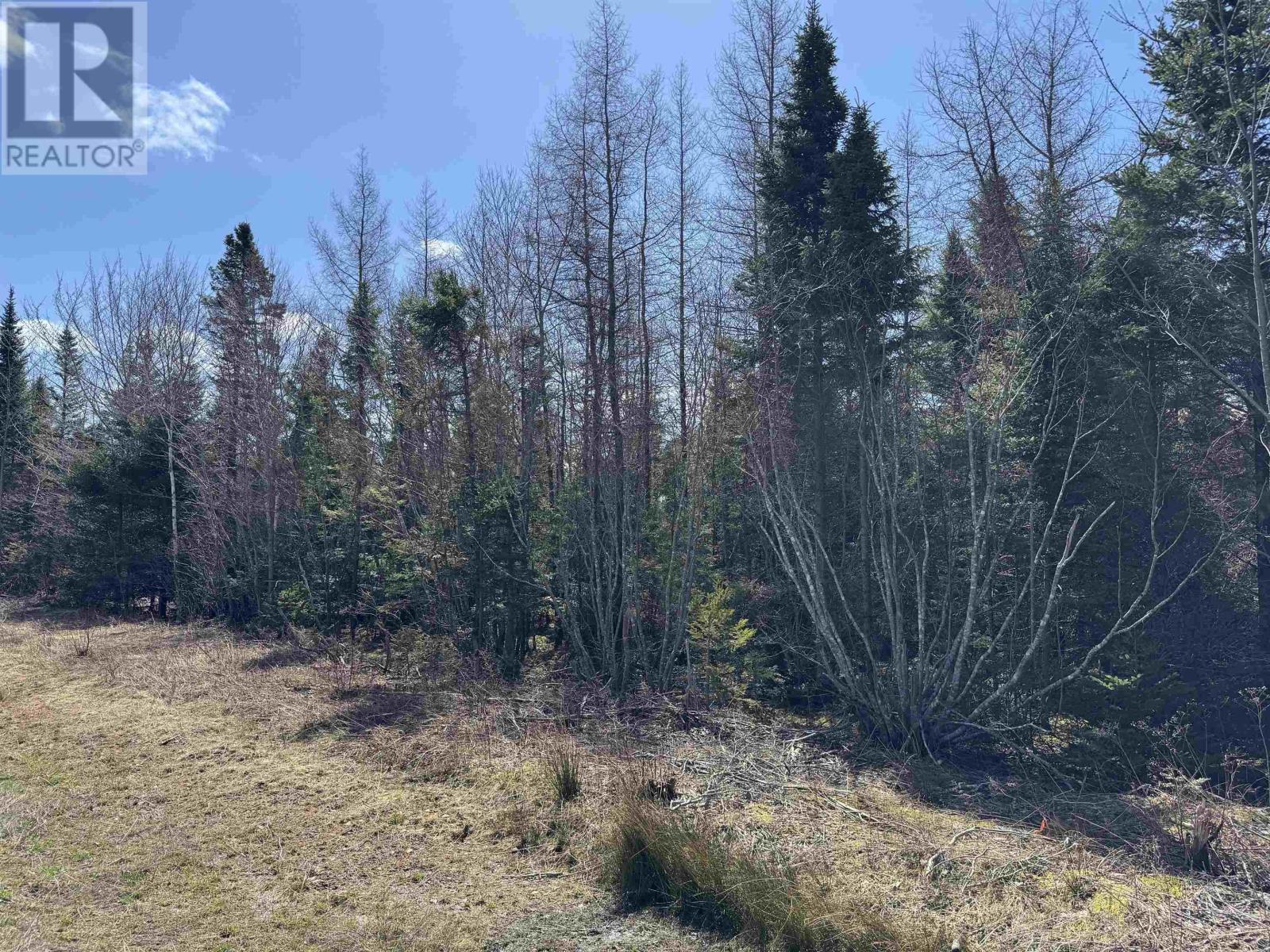 Lot 6 Cenotaph Road, Glenora, Nova Scotia  B0E 3L0 - Photo 4 - 202520906